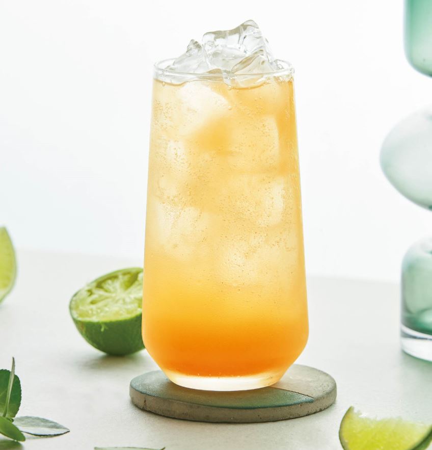 Kombucha Lime Flavor – 30 Sticks Fermented Wellness Tea