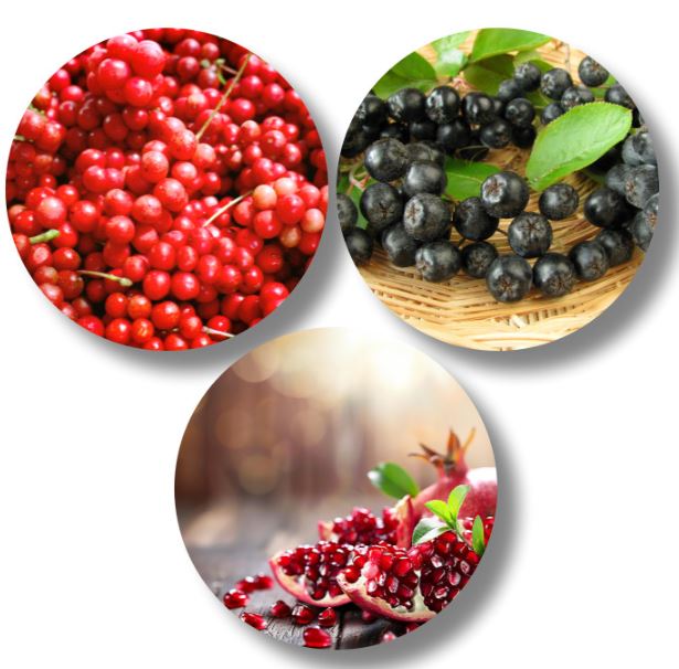 Korean Omija Tea 50T(850g) – Rich Schisandra Flavor with Pomegranate, Aronia & Apple