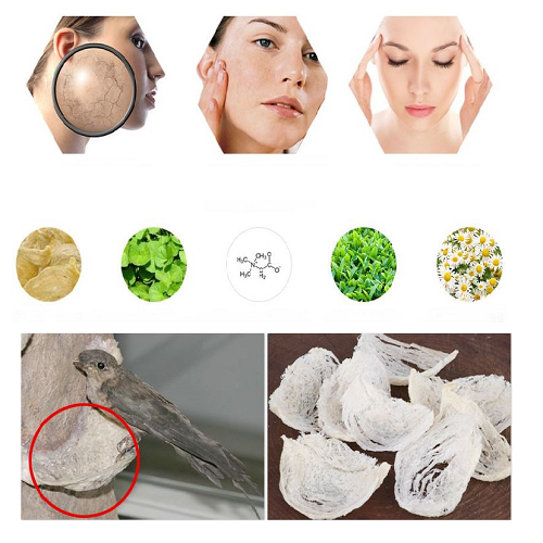 SNP Bird’s Nest Aqua Ampoule Mask (10 Sheets) – Intensive Hydrating & Soothing Mask for Tired, Sensitive Skin