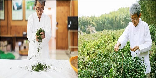 Kim Dong-gon Myeongin's Domestic Cuckoo Tea 40 Tea Bag Beverage