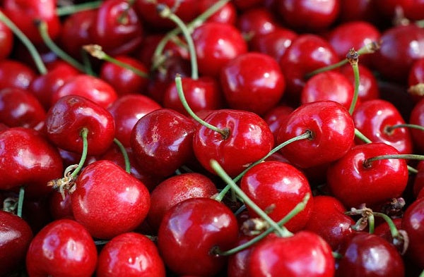 Tart Cherry Collagen Jelly Stick 20g x 15 – Daily Skin Firming & Beauty Collagen