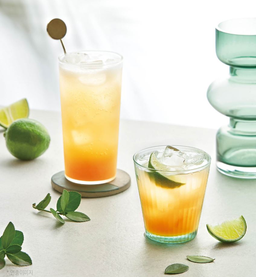 Kombucha Lime Flavor – 30 Sticks Fermented Wellness Tea
